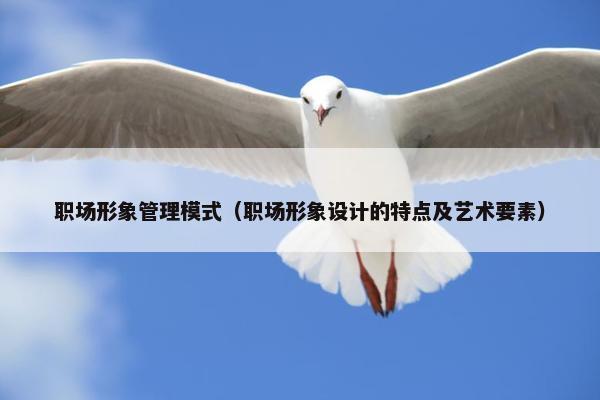 职场形象管理模式（职场形象设计的特点及艺术要素）