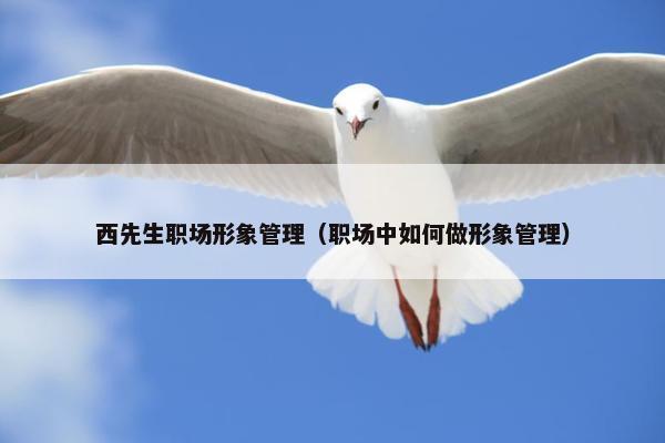 西先生职场形象管理（职场中如何做形象管理）