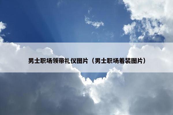 男士职场领带礼仪图片（男士职场着装图片）