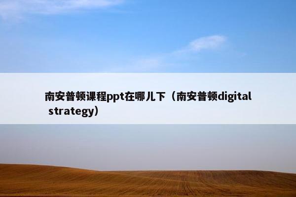 南安普顿课程ppt在哪儿下（南安普顿digital strategy）