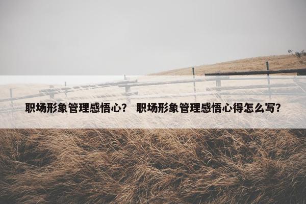 职场形象管理感悟心？ 职场形象管理感悟心得怎么写？