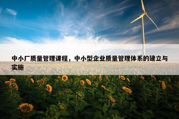 中小厂质量管理课程，中小型企业质量管理体系的建立与实施