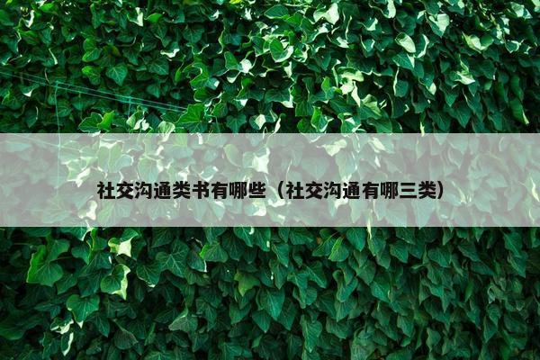 社交沟通类书有哪些（社交沟通有哪三类）