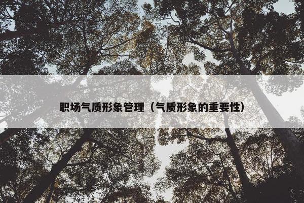 职场气质形象管理（气质形象的重要性）