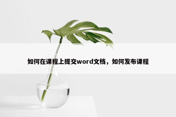 如何在课程上提交word文档，如何发布课程