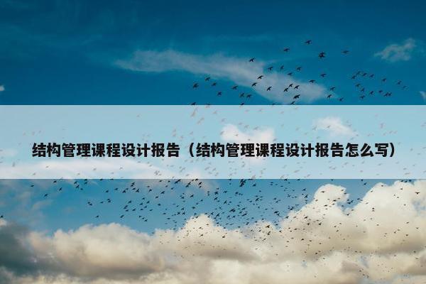结构管理课程设计报告（结构管理课程设计报告怎么写）