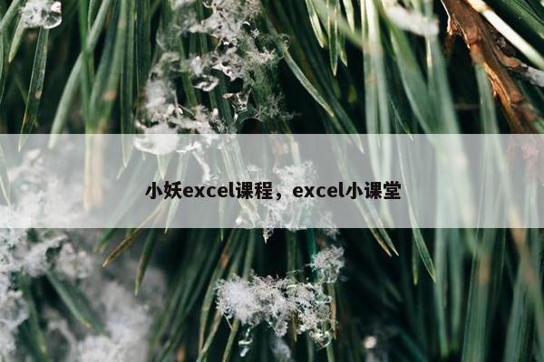 小妖excel课程，excel小课堂