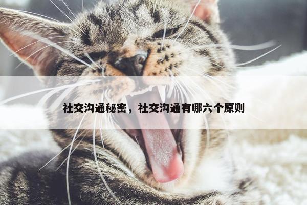 社交沟通秘密，社交沟通有哪六个原则