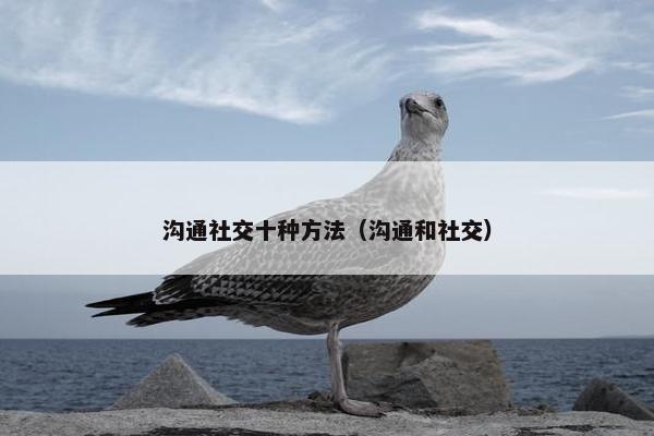 沟通社交十种方法（沟通和社交）