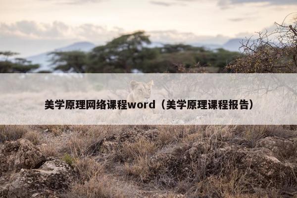 美学原理网络课程word（美学原理课程报告）