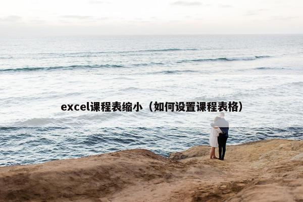 excel课程表缩小（如何设置课程表格）