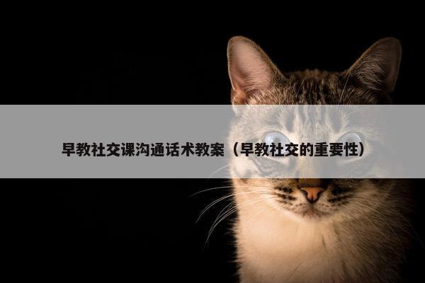 早教社交课沟通话术教案（早教社交的重要性）