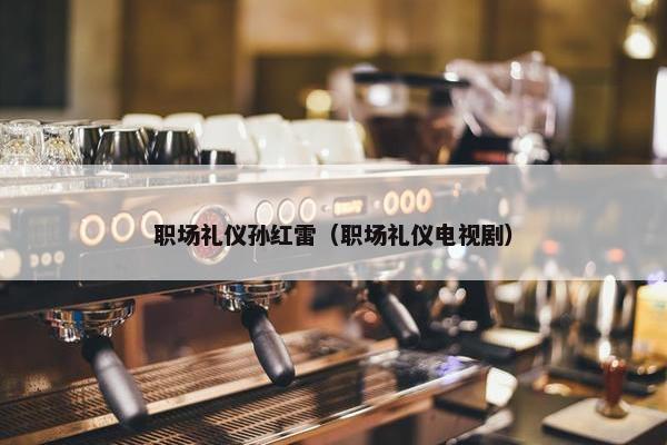 职场礼仪孙红雷（职场礼仪电视剧）