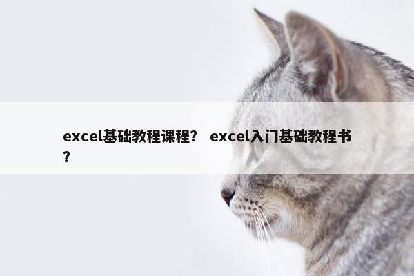 excel基础教程课程？ excel入门基础教程书？