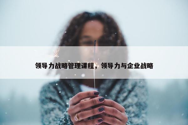 领导力战略管理课程，领导力与企业战略