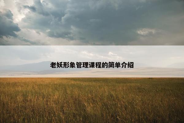老妖形象管理课程的简单介绍