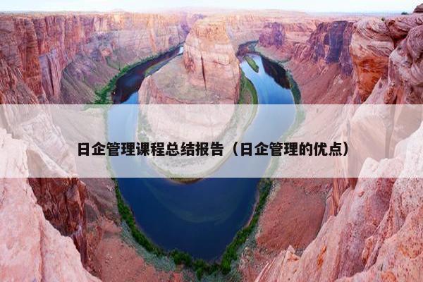 日企管理课程总结报告（日企管理的优点）