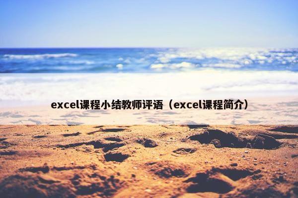 excel课程小结教师评语（excel课程简介）