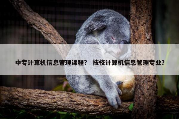 中专计算机信息管理课程？ 技校计算机信息管理专业？