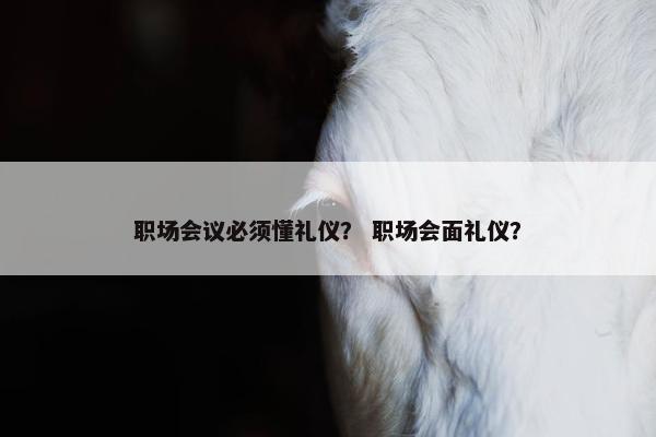 职场会议必须懂礼仪？ 职场会面礼仪？