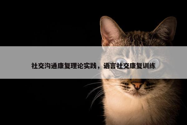 社交沟通康复理论实践，语言社交康复训练