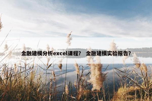 金融建模分析excel课程？ 金融建模实验报告？