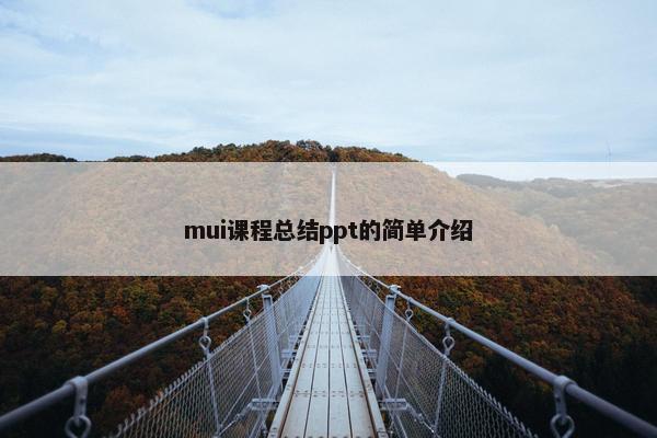 mui课程总结ppt的简单介绍
