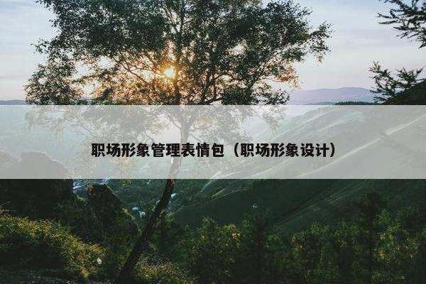 职场形象管理表情包（职场形象设计）