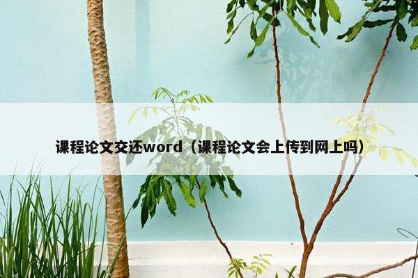 课程论文交还word（课程论文会上传到网上吗）