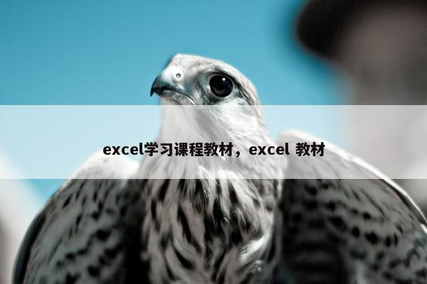 excel学习课程教材，excel 教材