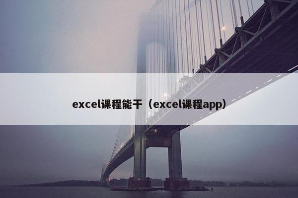 excel课程能干（excel课程app）