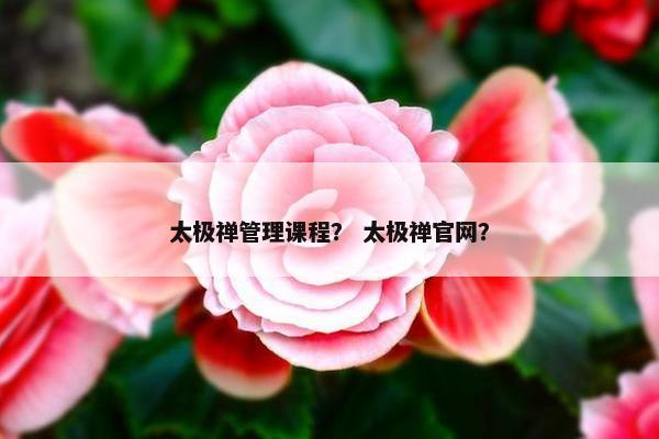 太极禅管理课程？ 太极禅官网？