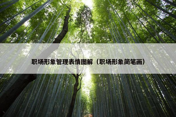 职场形象管理表情图解（职场形象简笔画）