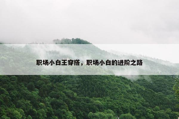 职场小白王穿搭，职场小白的进阶之路