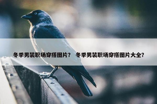 冬季男装职场穿搭图片？ 冬季男装职场穿搭图片大全？