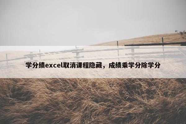 学分绩excel取消课程隐藏，成绩乘学分除学分