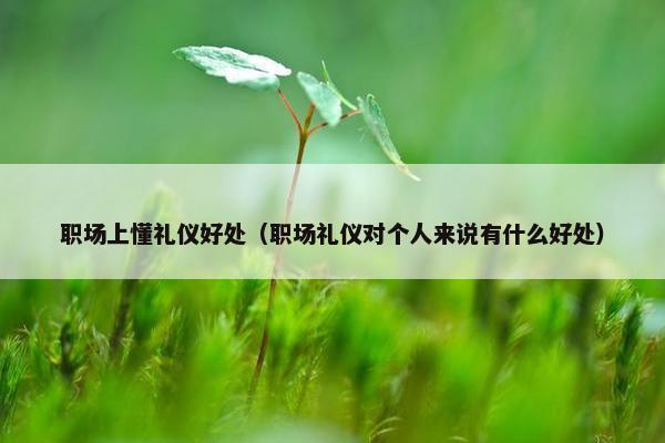 职场上懂礼仪好处（职场礼仪对个人来说有什么好处）