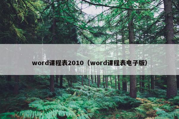 word课程表2010（word课程表电子版）