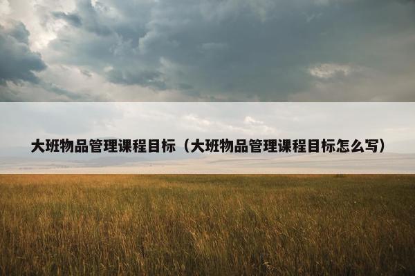 大班物品管理课程目标（大班物品管理课程目标怎么写）