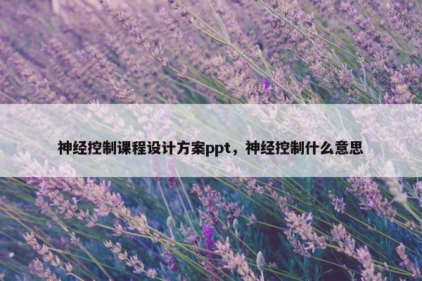 神经控制课程设计方案ppt，神经控制什么意思