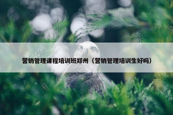 营销管理课程培训班郑州（营销管理培训生好吗）