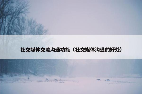 社交媒体交流沟通功能（社交媒体沟通的好处）