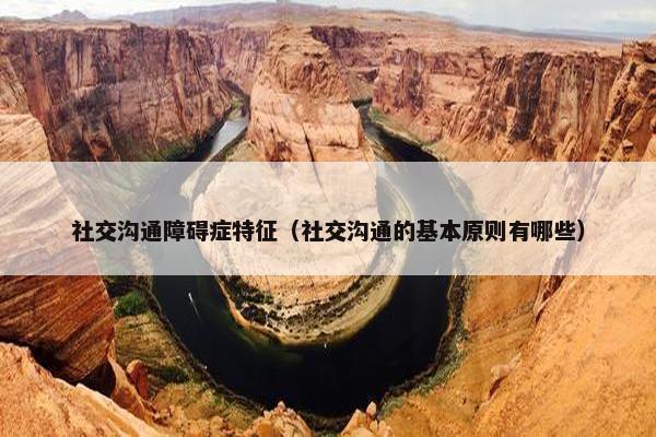 社交沟通障碍症特征（社交沟通的基本原则有哪些）