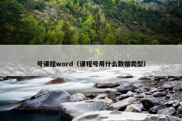号课程word（课程号用什么数据类型）