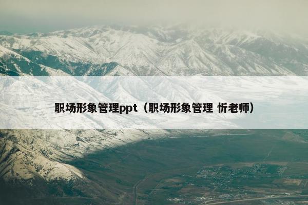 职场形象管理ppt（职场形象管理 忻老师）