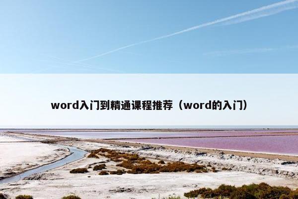 word入门到精通课程推荐（word的入门）
