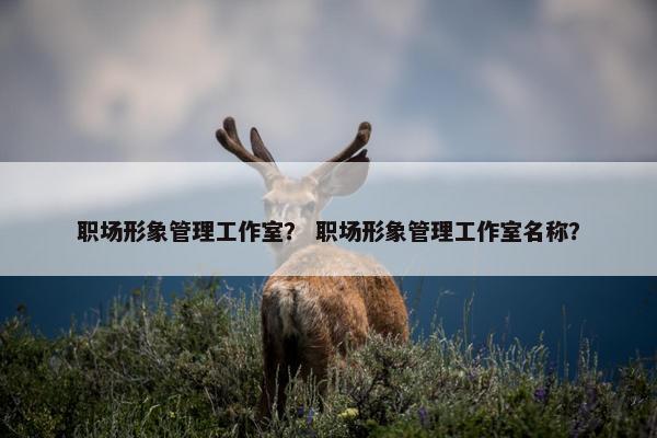 职场形象管理工作室？ 职场形象管理工作室名称？