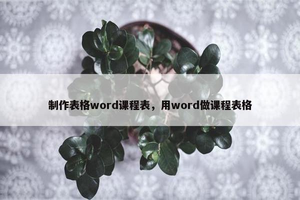 制作表格word课程表，用word做课程表格