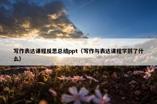 写作表达课程反思总结ppt（写作与表达课程学到了什么）