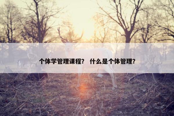 个体学管理课程？ 什么是个体管理？